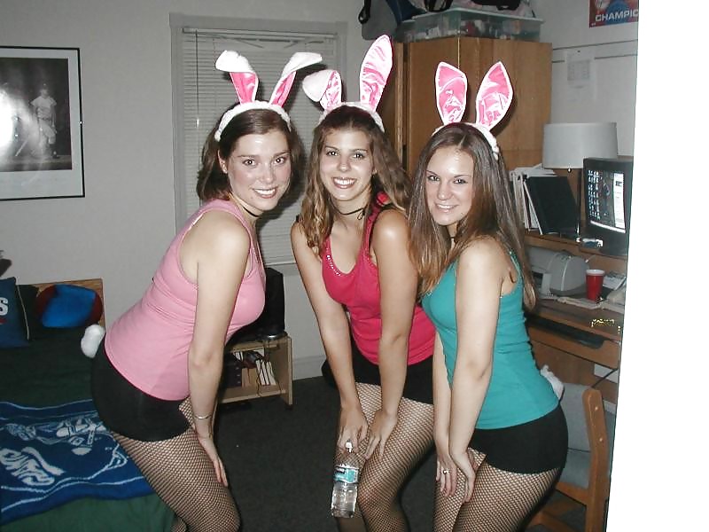 Bunny Babes #6931048