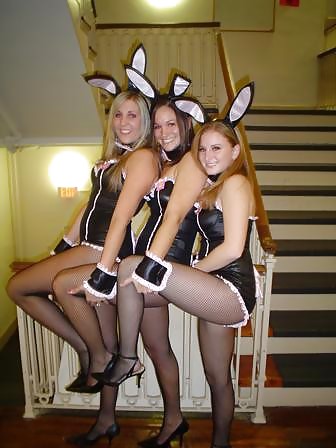 Hase Babes #6931073