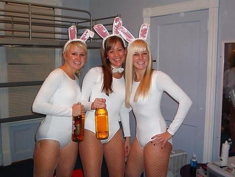 Bunny Babes #6931212