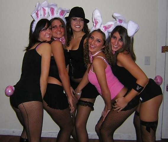 Bunny Babes #6931232