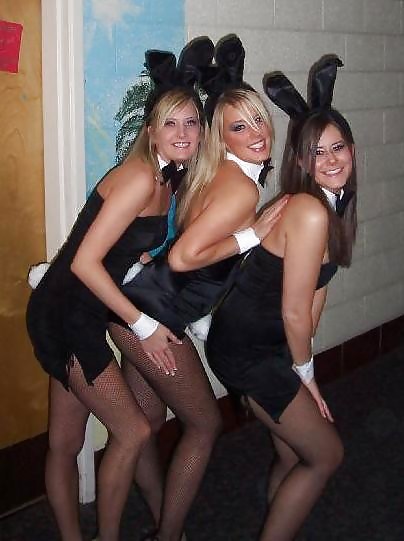 Bunny Babes #6931479