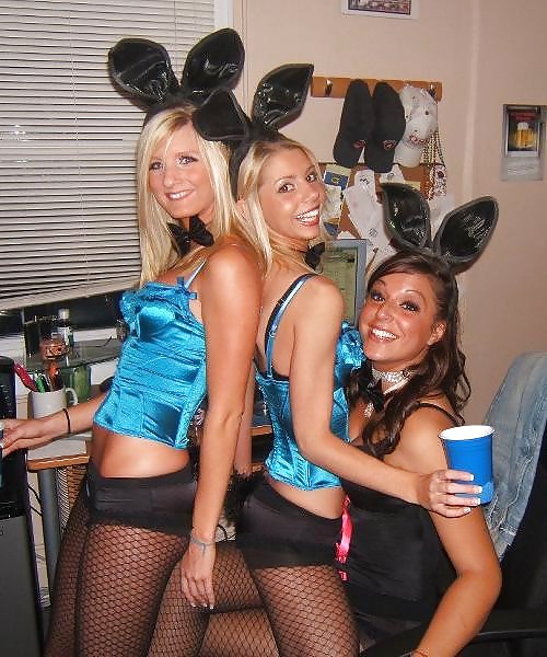 Bunny Babes #6931499