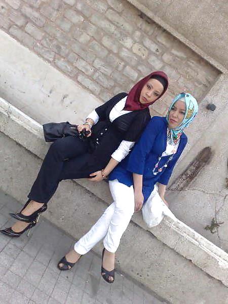 Turbanli turco hijab arabo buyuk album
 #12733937