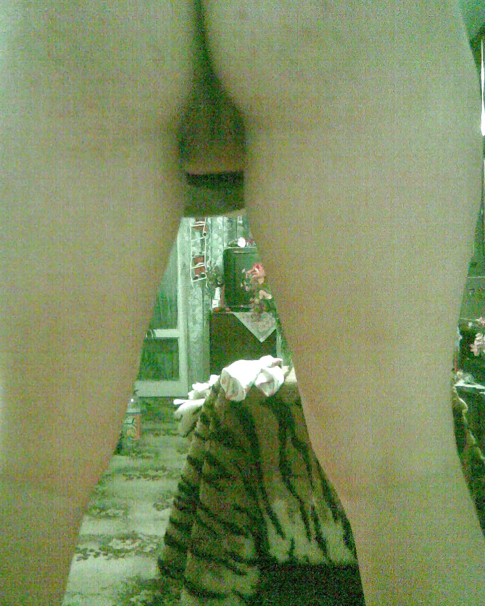 Mina Bilder #8470894