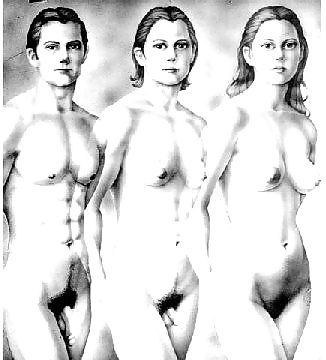 Ein Mann, Eine Frau Oder Inbetweenie? #13067795