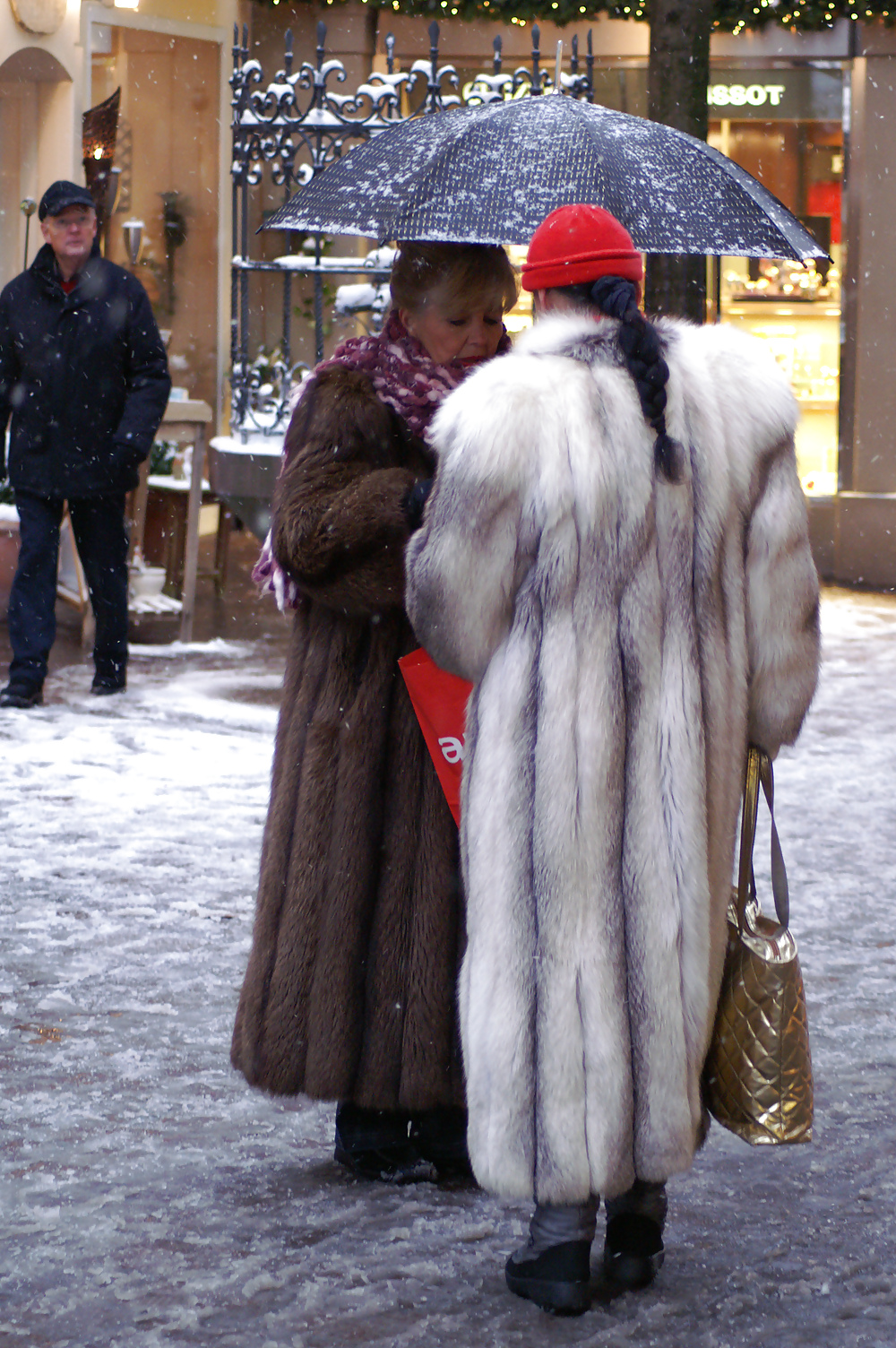 Street fur #20684229