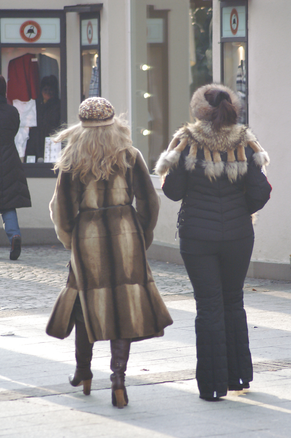 Street fur #20684710