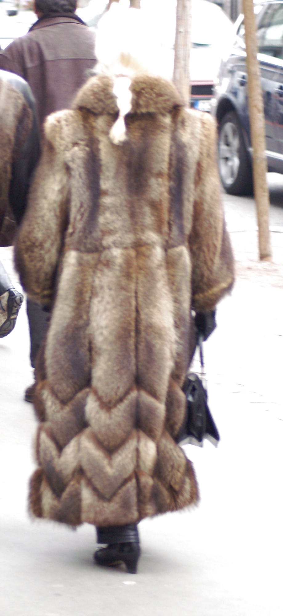 Street fur #20684787