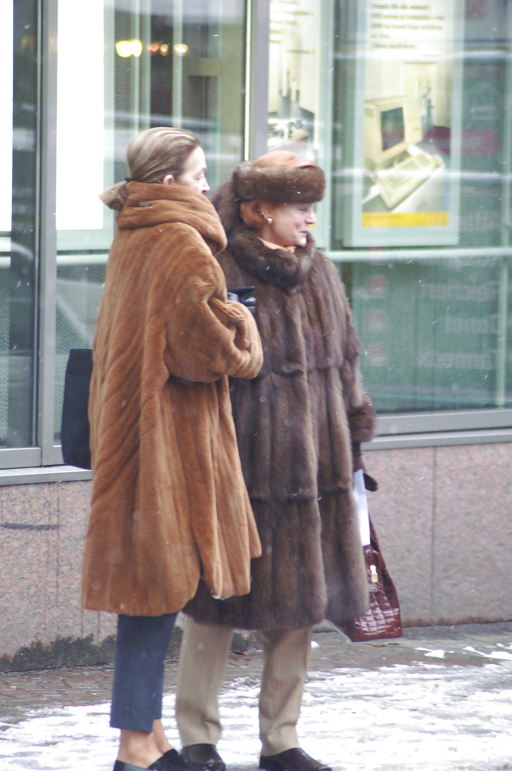 Street fur #20684883