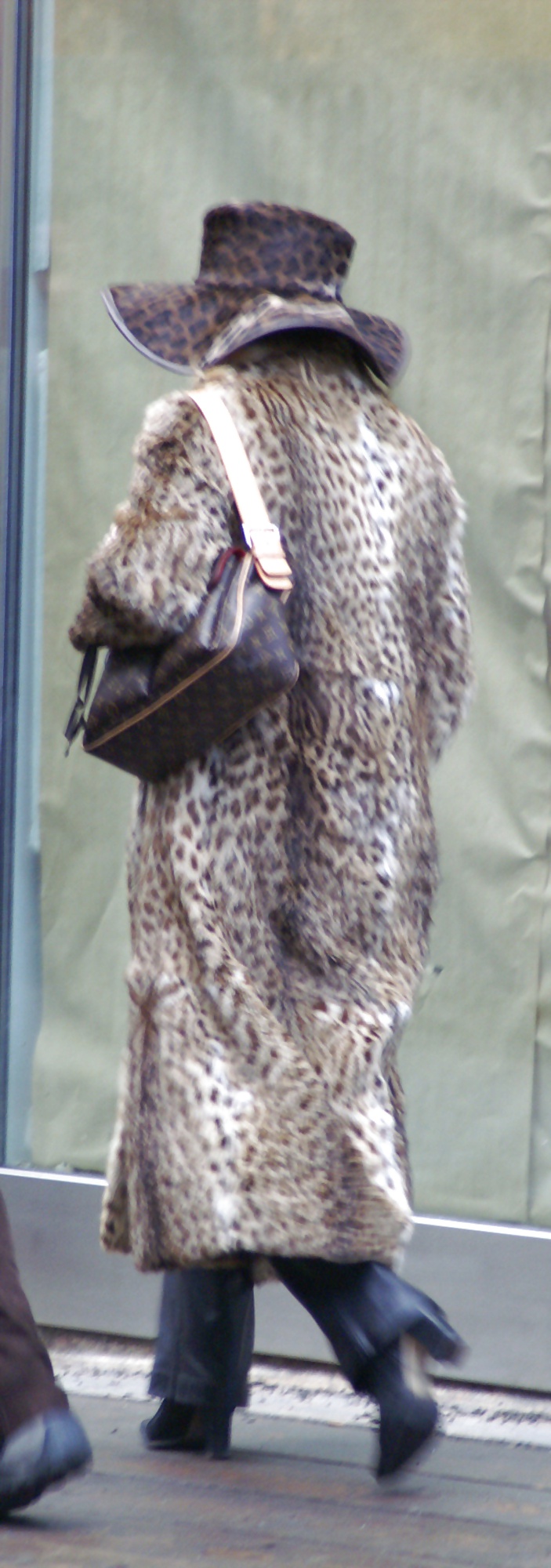 Street fur #20685311