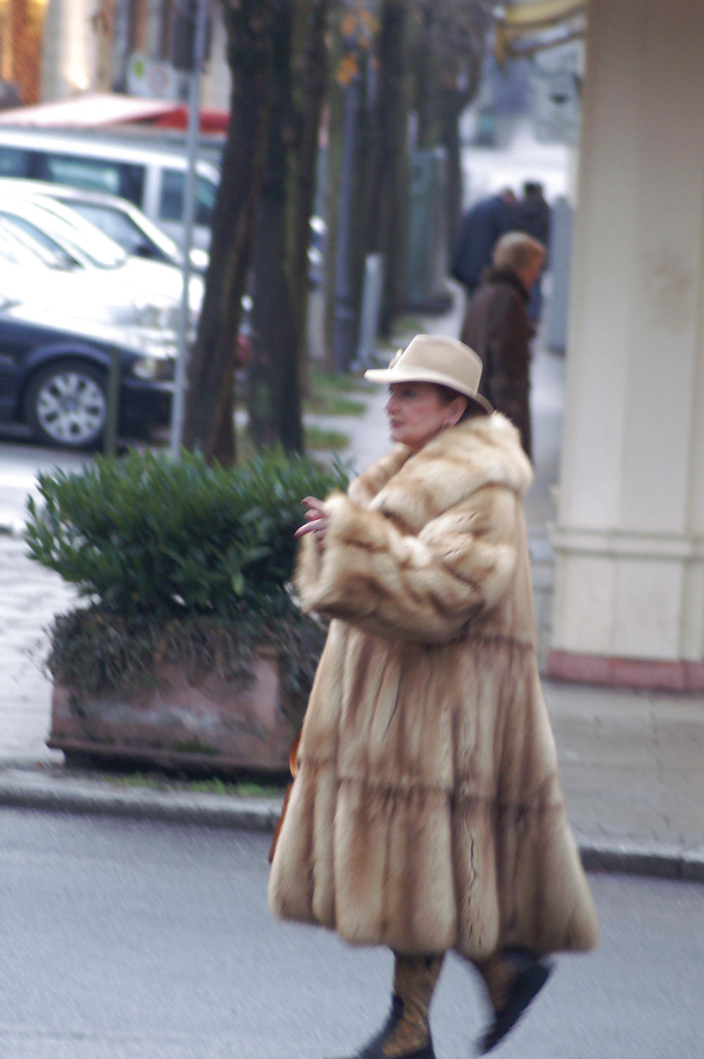 Street fur #20685545