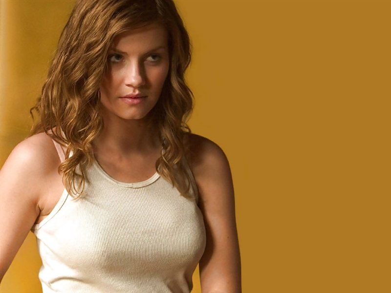 Elisha Cuthbert #3383362