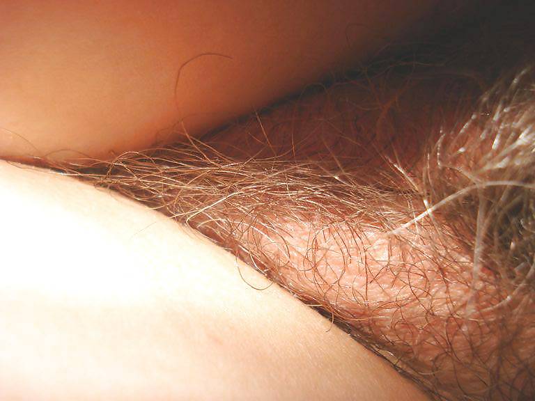 My wife's ass and hairy pussy (hammefall68) #15153002