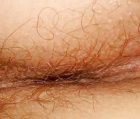 My wife's ass and hairy pussy (hammefall68) #15153104