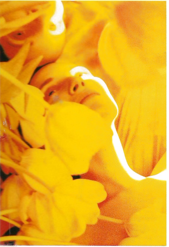 Ilustration Ii #6353984