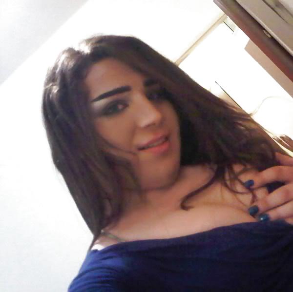 Arab Amateur Shemales #13064835