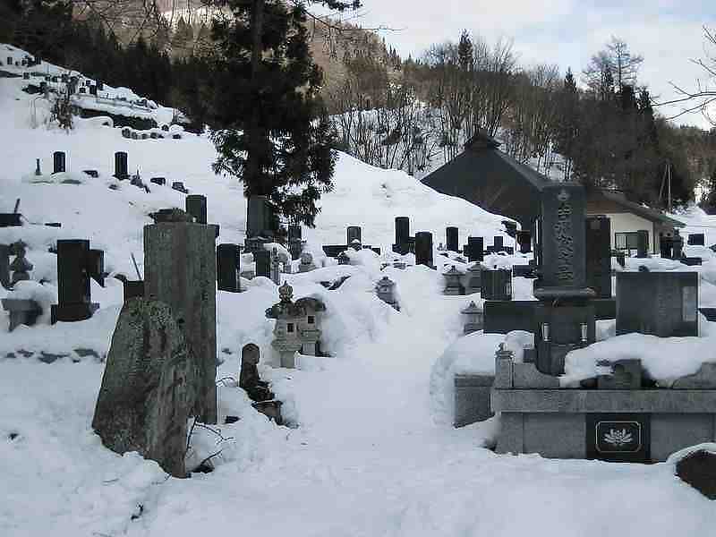 THE FORBIDDEN ZONE  #2476330