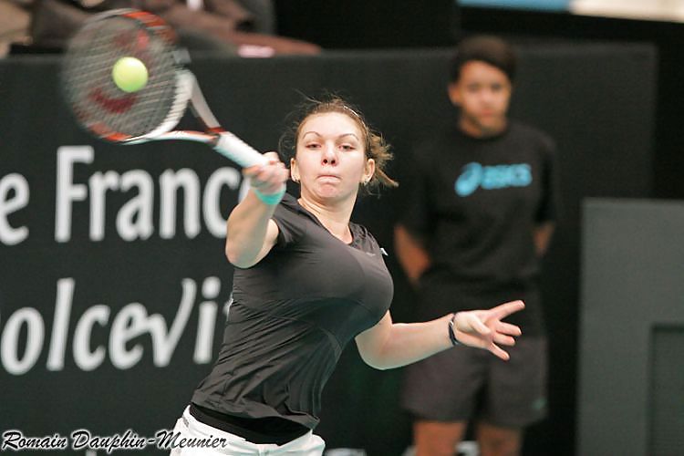 Simona Halep #9116211