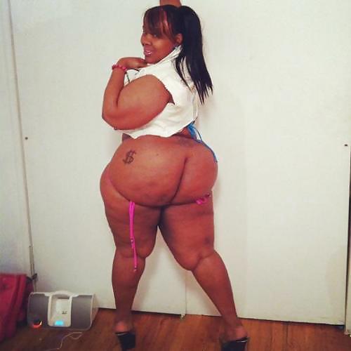 Spicee Cajun #17449965