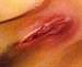 Friends #15697057