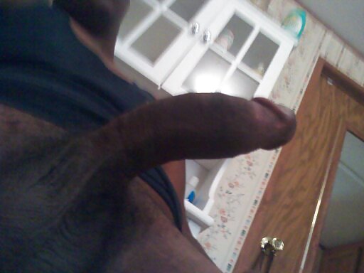 I named him monsta #4416163