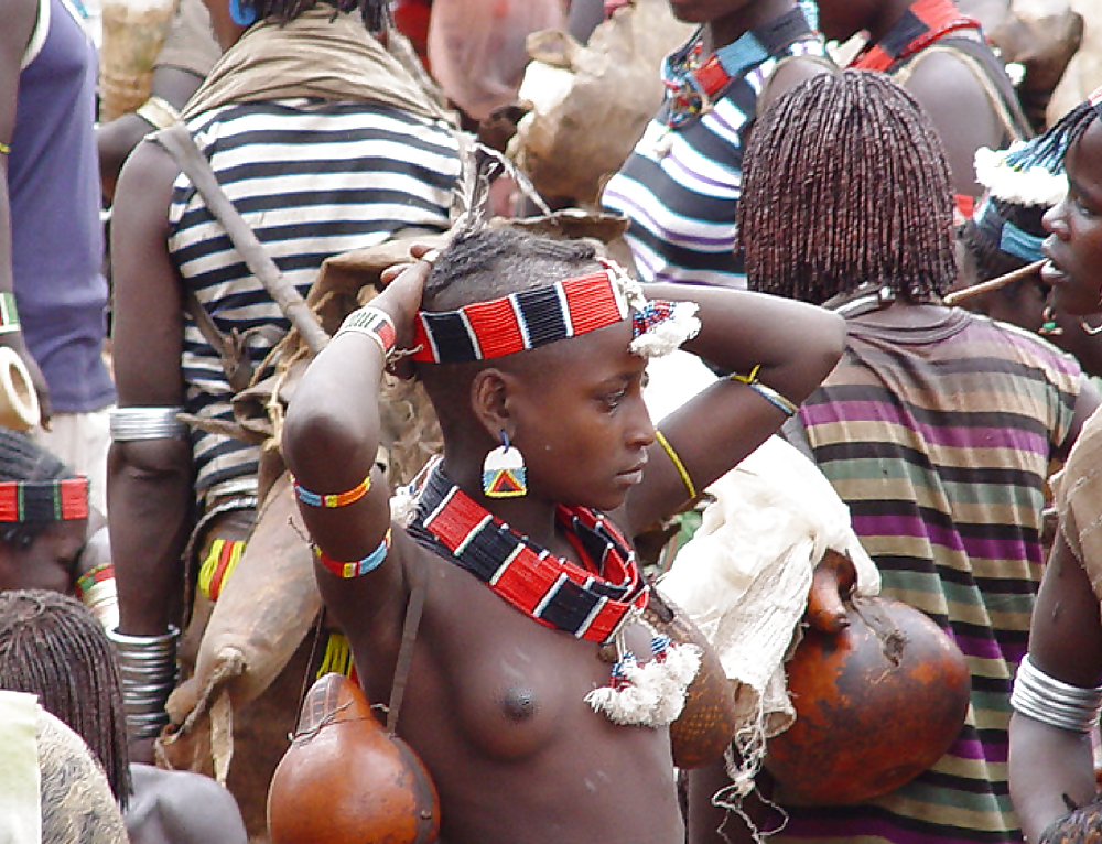 Safari Africain, Hier, Aujourd'hui Ii #14525636