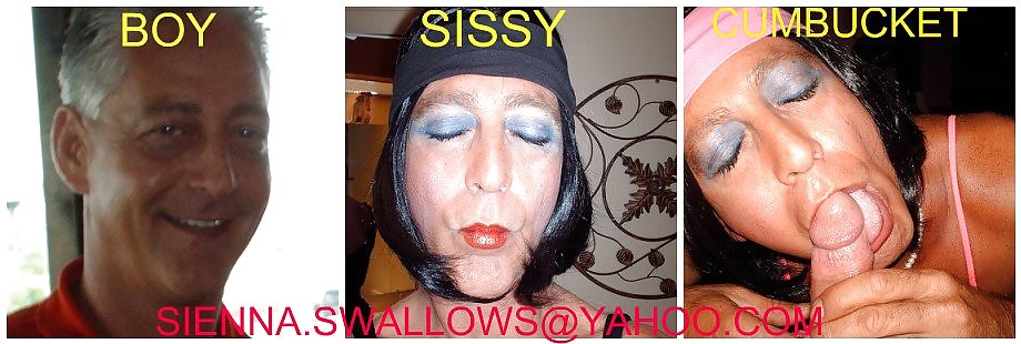 Sissy - Sienna Swallows #1053390