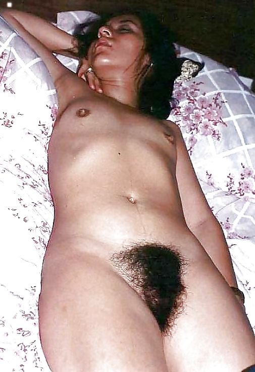 Amateur Bush #3568900