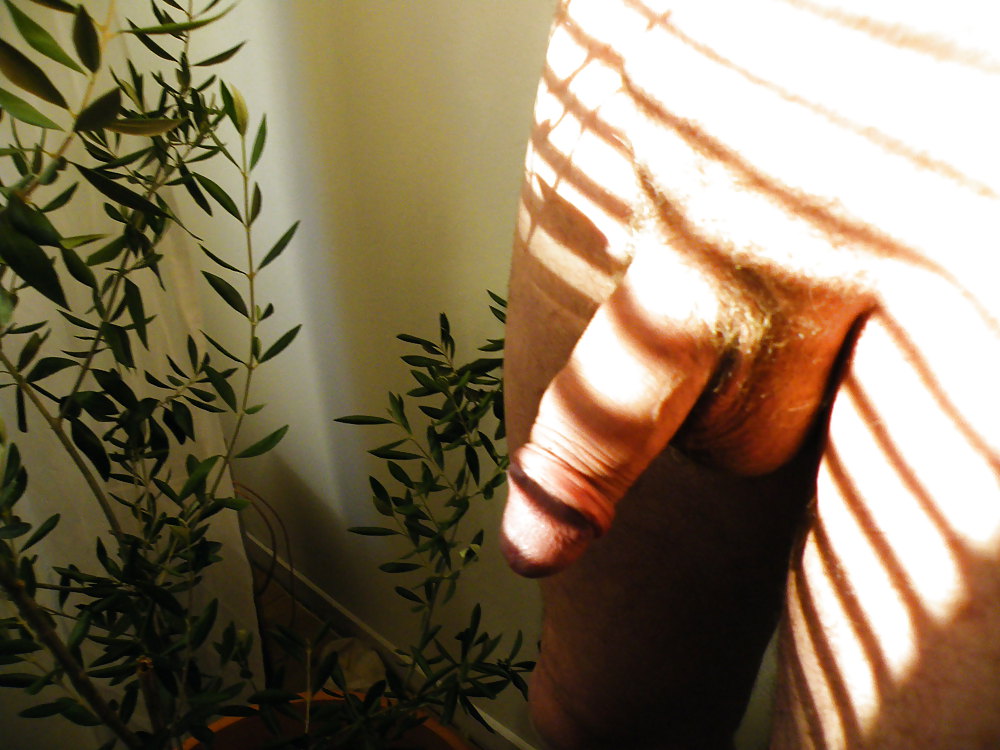 Von mir.....nr 1 #4401809