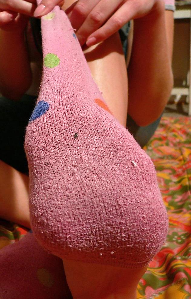 Colorfull sox close-up hq
 #16362867