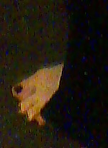 Piedi di mia zia (feet of my aunt) 37years old #4157683
