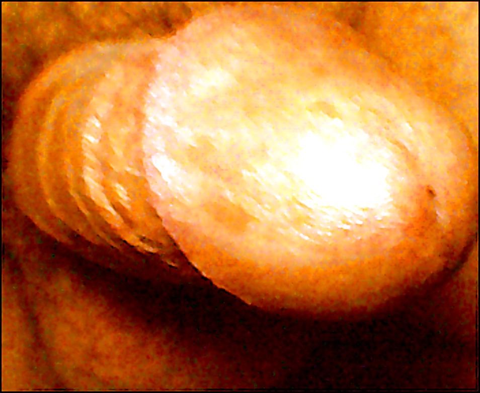 pau maranhense caiu na fetch #9378423