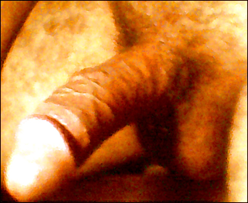 pau maranhense caiu na fetch #9378428