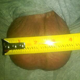巨大なボールのサイズを測定
 #11668237