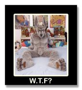 WTF?