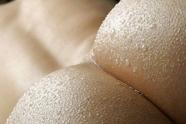 Caliente 14
 #21041948