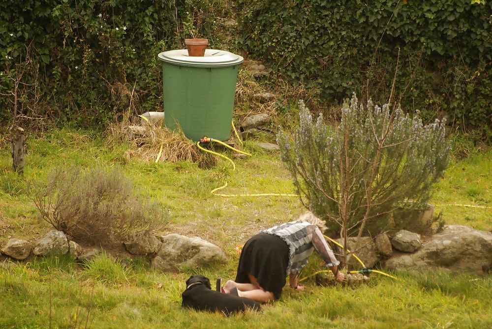 Charmant jardin
 #15215930