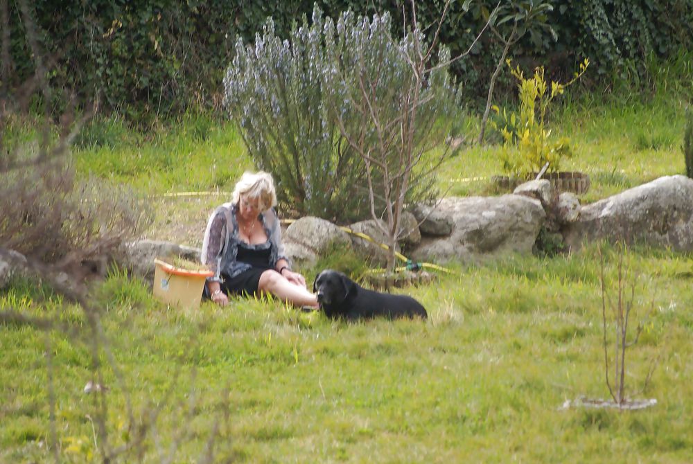 Charmant jardin
 #15215933