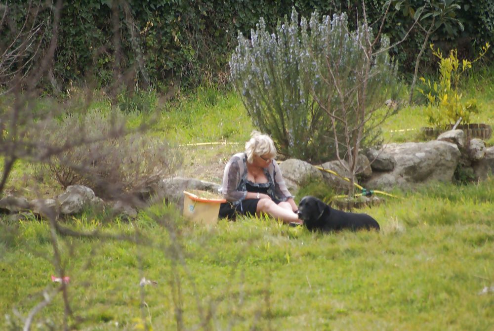 Charmant jardin
 #15215935