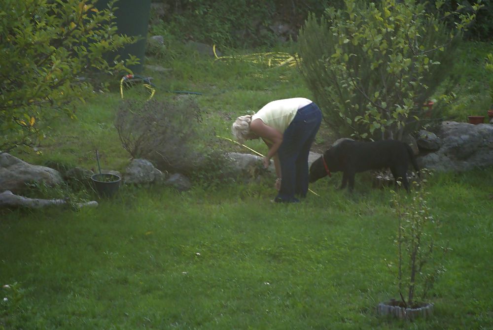 Charmant jardin
 #15215939