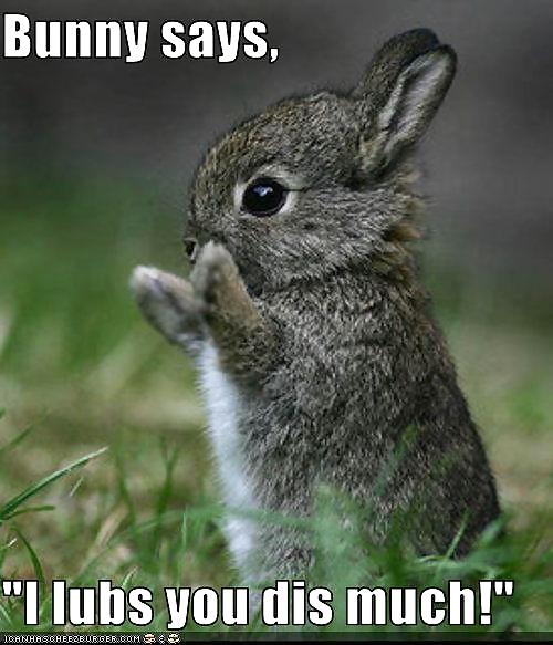 Cute little bunnies!! #2234599