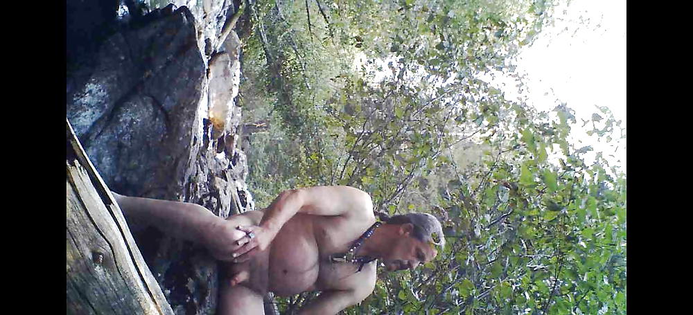 Out in nature #13784250