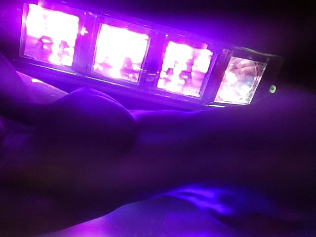 Madelyn Marie Twitter Photos #3827049