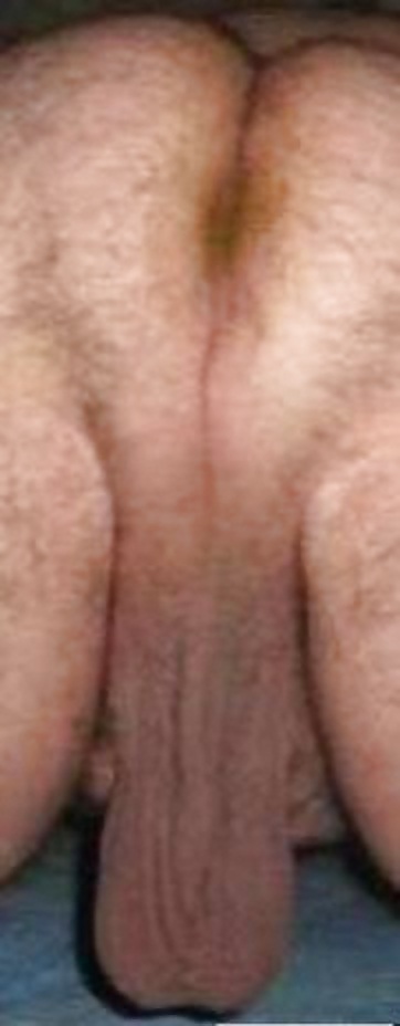 BRIBRILOVE TRANS #9563561