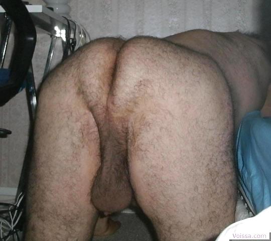 BRIBRILOVE TRANS #9563571