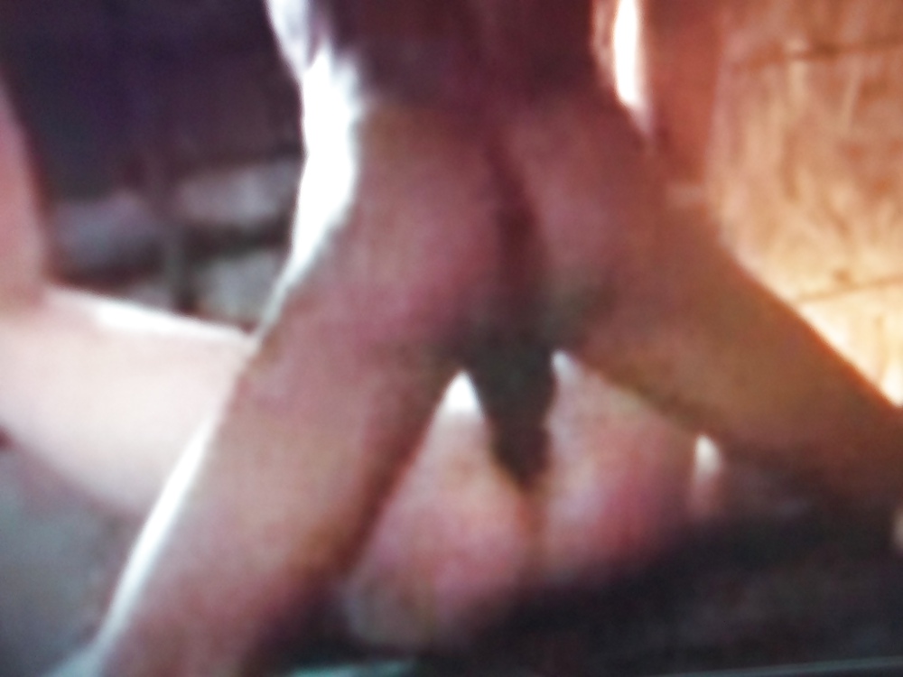 COCK #3556022