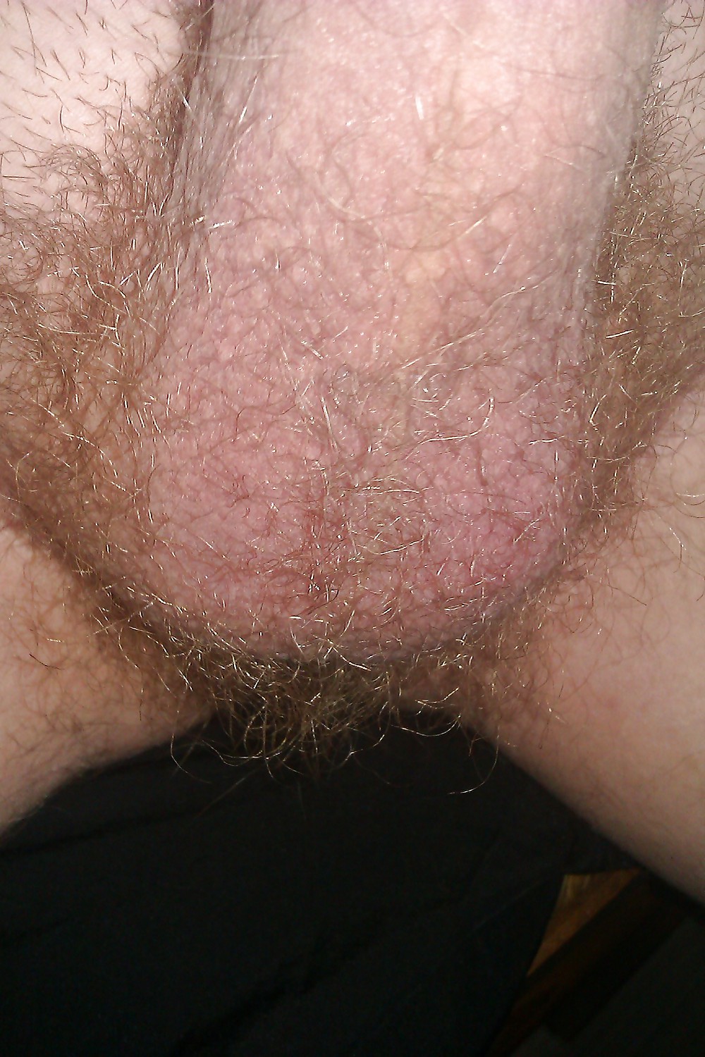 Ma bite #16459534