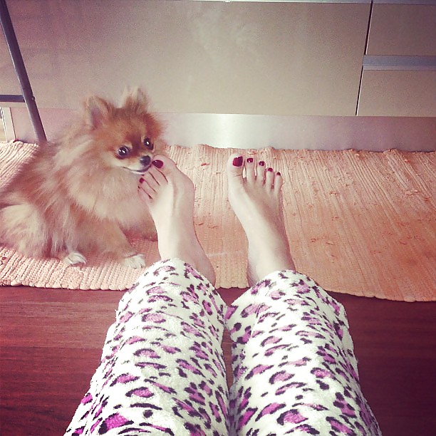 Mi elección
 #18046939