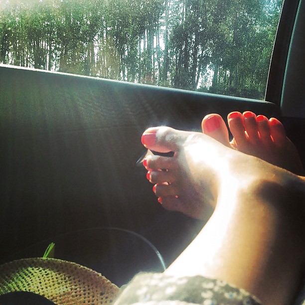 Mi elección
 #18047006