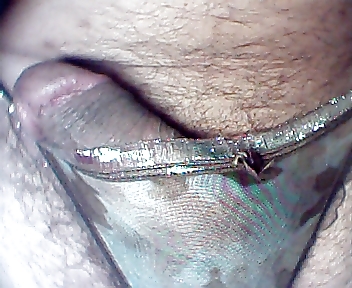 String color 26 #304104